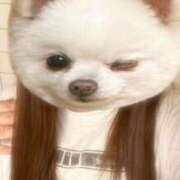 ヒメ日記 2025/01/31 17:46 投稿 らむ 兵庫姫路・加古川ちゃんこ