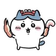 ヒメ日記 2025/02/13 01:41 投稿 らむ 兵庫姫路・加古川ちゃんこ