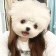 ヒメ日記 2025/02/20 18:16 投稿 らむ 兵庫姫路・加古川ちゃんこ