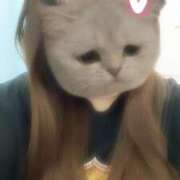 ヒメ日記 2025/11/10 23:45 投稿 らむ 兵庫姫路・加古川ちゃんこ