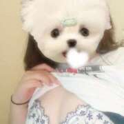 ヒメ日記 2025/11/30 16:30 投稿 らむ 兵庫姫路・加古川ちゃんこ