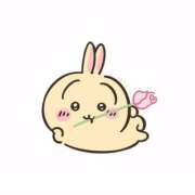 ヒメ日記 2025/12/20 02:00 投稿 らむ 兵庫姫路・加古川ちゃんこ