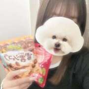 ヒメ日記 2026/01/12 18:42 投稿 らむ 兵庫姫路・加古川ちゃんこ