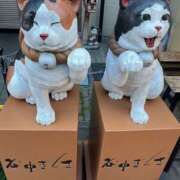 ヒメ日記 2024/12/12 10:15 投稿 なな 僕のぽっちゃり伝説