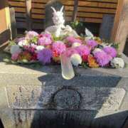 ヒメ日記 2025/01/02 23:55 投稿 なな 僕のぽっちゃり伝説