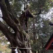 ヒメ日記 2026/03/21 18:55 投稿 なな 僕のぽっちゃり伝説