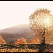 ヒメ日記 2024/12/06 07:55 投稿 のりこ 待ちナビ