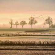 ヒメ日記 2024/12/14 08:12 投稿 のりこ 待ちナビ