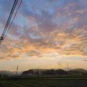 ヒメ日記 2025/03/22 07:45 投稿 のりこ 待ちナビ