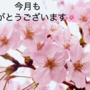 ヒメ日記 2025/03/31 22:05 投稿 のりこ 待ちナビ
