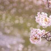 ヒメ日記 2025/04/10 08:25 投稿 のりこ 待ちナビ