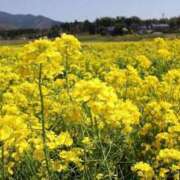 ヒメ日記 2025/04/14 08:04 投稿 のりこ 待ちナビ