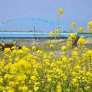 ヒメ日記 2025/04/23 08:35 投稿 のりこ 待ちナビ