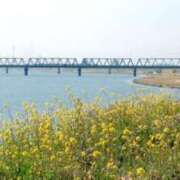 ヒメ日記 2025/04/24 07:25 投稿 のりこ 待ちナビ