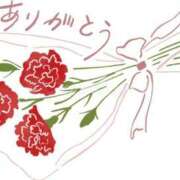 ヒメ日記 2025/04/29 13:38 投稿 のりこ 待ちナビ