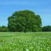 ヒメ日記 2025/05/28 07:25 投稿 のりこ 待ちナビ