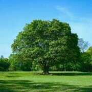 ヒメ日記 2025/06/05 07:25 投稿 のりこ 待ちナビ