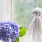 ヒメ日記 2025/06/10 08:19 投稿 のりこ 待ちナビ