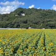 ヒメ日記 2025/09/23 07:45 投稿 のりこ 待ちナビ