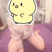 ヒメ日記 2026/02/17 19:01 投稿 ひより 新感覚恋活ソープもしも彼女が○○だったら・・・福岡中州本店