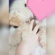 ひより 🩷初公開🩷 新感覚恋活ソープもしも彼女が○○だったら・・・福岡中州本店