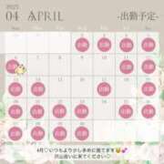 ヒメ日記 2025/04/03 16:31 投稿 ちい INFINITY GOLD～インフィニティゴールド～