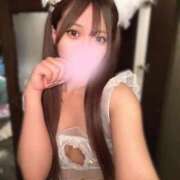 ヒメ日記 2026/03/14 08:48 投稿 ことり 沖縄素人図鑑