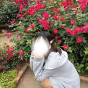 ヒメ日記 2026/04/16 02:18 投稿 ことり 沖縄素人図鑑