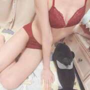 ヒメ日記 2025/02/10 10:45 投稿 ありす 桜sakura(名古屋)