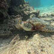 ヒメ日記 2025/09/05 20:15 投稿 もえ an_an（アンアン）