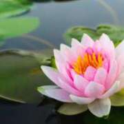 ヒメ日記 2025/06/18 23:51 投稿 つばき 梅田アバンチュール