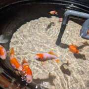 ヒメ日記 2025/07/09 17:46 投稿 つばき 梅田アバンチュール