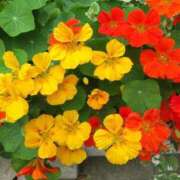 ヒメ日記 2025/09/06 20:42 投稿 つばき 梅田アバンチュール