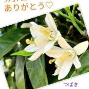 ヒメ日記 2025/09/07 18:23 投稿 つばき 梅田アバンチュール