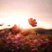 ヒメ日記 2025/11/20 22:42 投稿 つばき 梅田アバンチュール