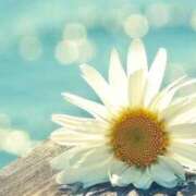 ヒメ日記 2026/03/07 22:02 投稿 つばき 梅田アバンチュール