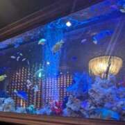 つばき (*´˘`*)♡ 梅田アバンチュール