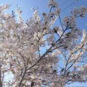 ヒメ日記 2026/04/08 23:52 投稿 つばき 梅田アバンチュール