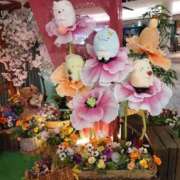 ヒメ日記 2026/04/09 06:12 投稿 つばき 梅田アバンチュール