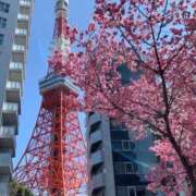 ヒメ日記 2026/04/11 21:03 投稿 つばき 梅田アバンチュール