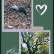 つばき おはよう木曜日🌳と神鶏🐓⸒⸒ 梅田アバンチュール