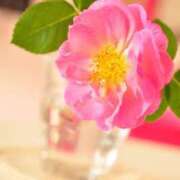 ヒメ日記 2024/12/31 20:21 投稿 ★あやか★ 金沢若妻