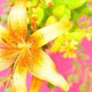 ヒメ日記 2025/02/16 22:04 投稿 ★あやか★ 金沢若妻