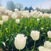 ヒメ日記 2025/03/02 20:48 投稿 ★あやか★ 金沢若妻