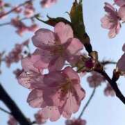 ヒメ日記 2025/03/28 22:03 投稿 ★あやか★ 金沢若妻