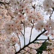 ヒメ日記 2025/04/10 05:50 投稿 ゆうき 熟女の風俗最終章 蒲田店