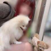 ヒメ日記 2025/08/23 15:02 投稿 みなみ the SPA KADOEBI