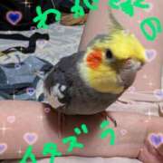 ヒメ日記 2025/05/16 15:26 投稿 柳楽 熟女の風俗最終章 新横浜店