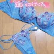 ヒメ日記 2024/12/28 18:34 投稿 咲(さき) DAHLIA(ダリア)