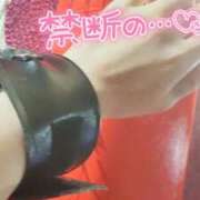 ヒメ日記 2025/01/04 20:51 投稿 咲(さき) DAHLIA(ダリア)